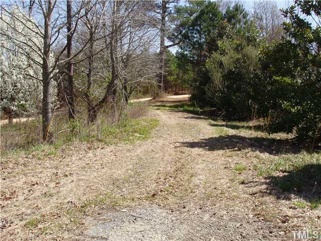 0 Elevation Road, Unit NONE Benson, NC 27504 - Photo 2 of 3 a view of a yard with plants and trees