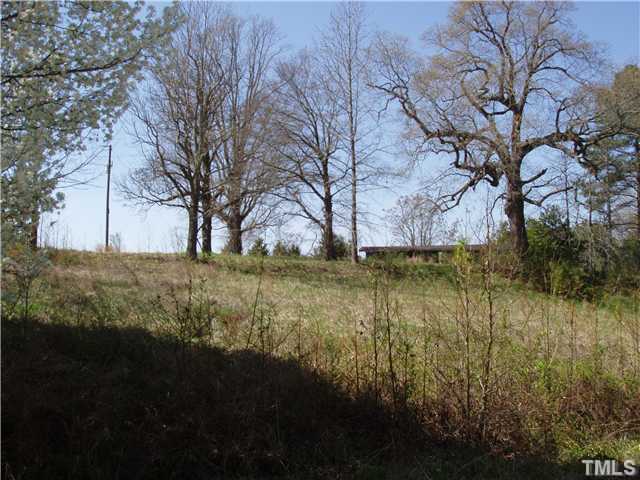 0 Elevation Road, Unit NONE Benson, NC 27504 - Photo 3 of 3 a view of yard with green space