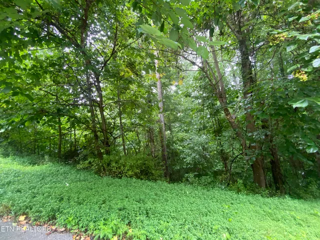 $29,900 | Eagle's Cove Parkway, Maynardville, TN 37807