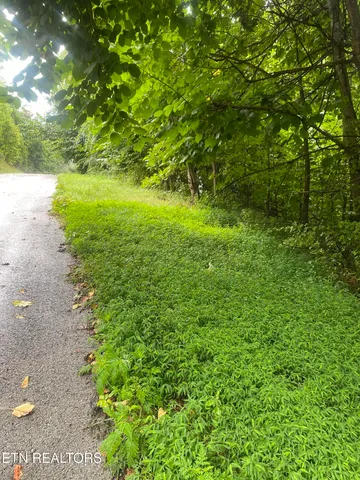 $29,900 | Eagle's Cove Parkway, Maynardville, TN 37807