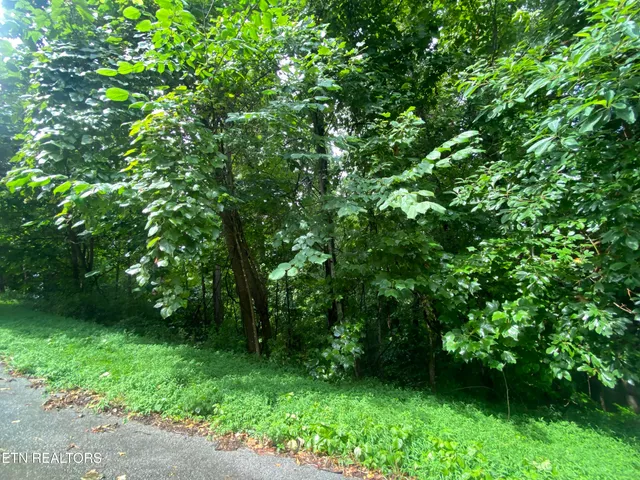 $29,900 | Eagle's Cove Parkway, Maynardville, TN 37807