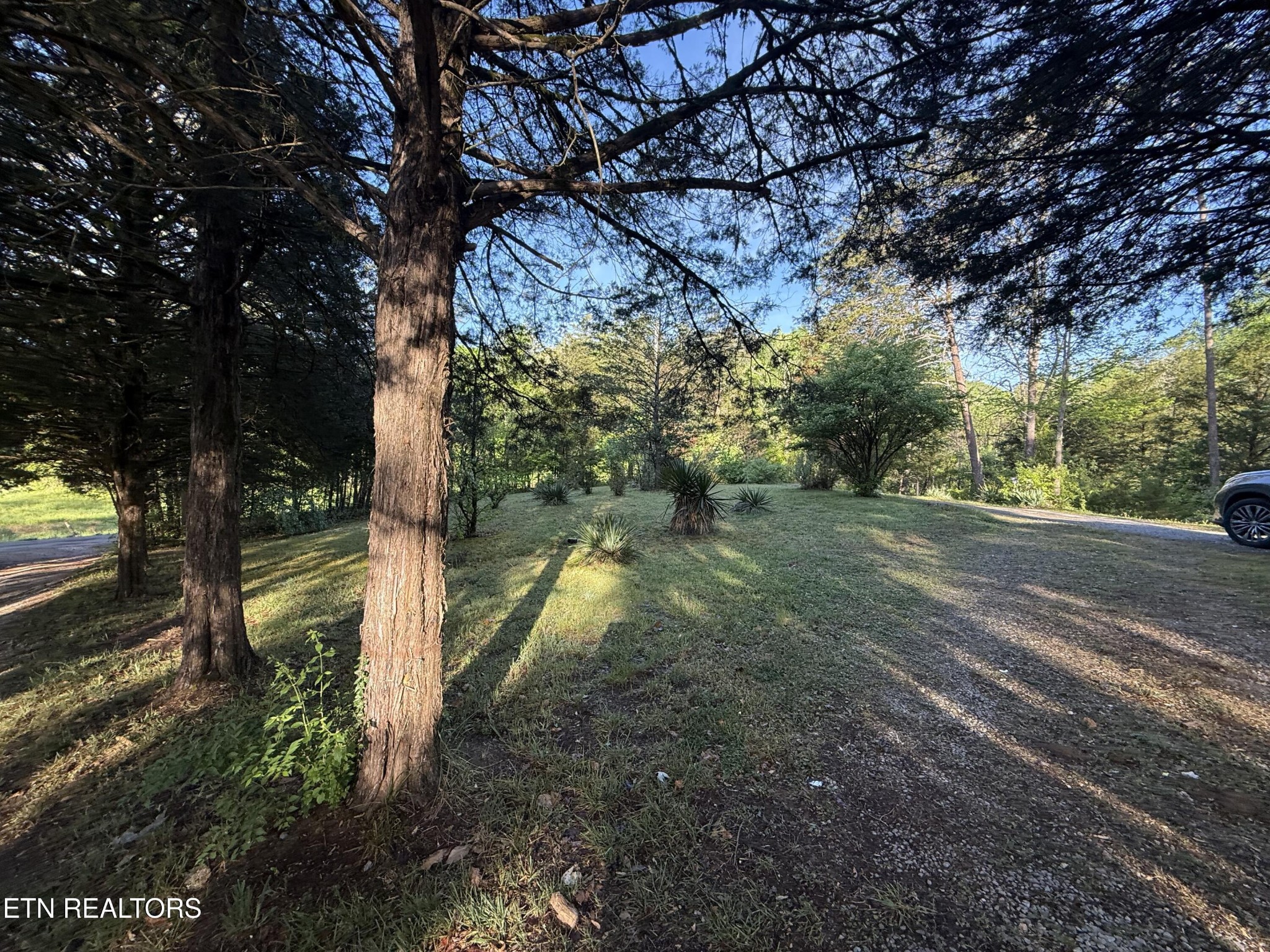 150 Sexton Lane Clinton, TN 37716 - Photo 14 of 26