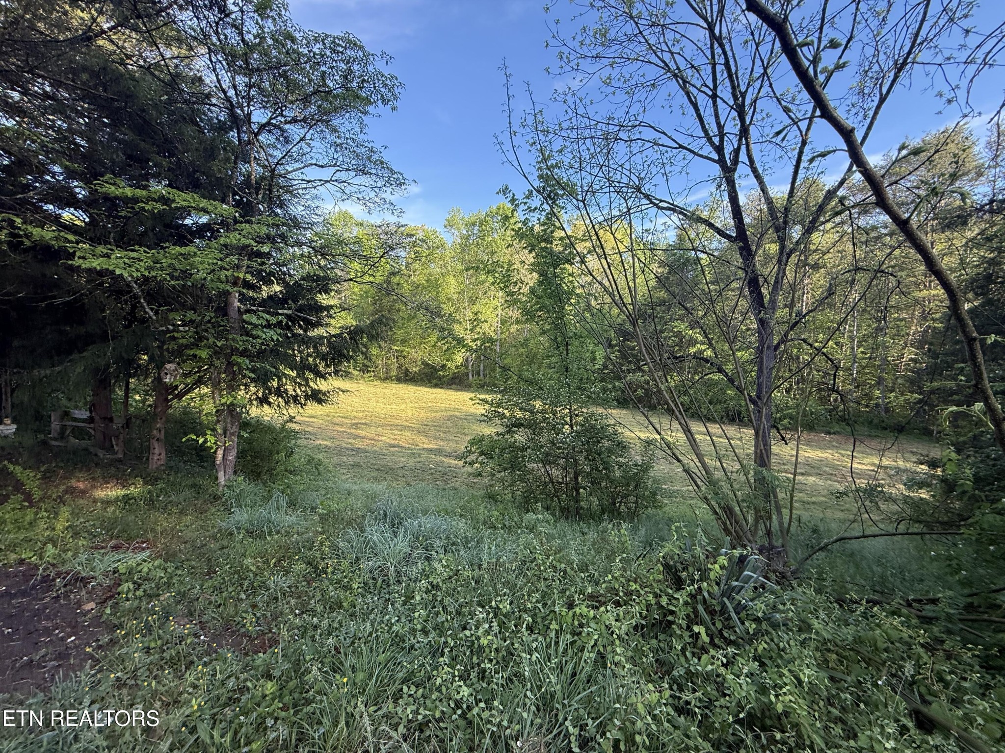 150 Sexton Lane Clinton, TN 37716 - Photo 15 of 26