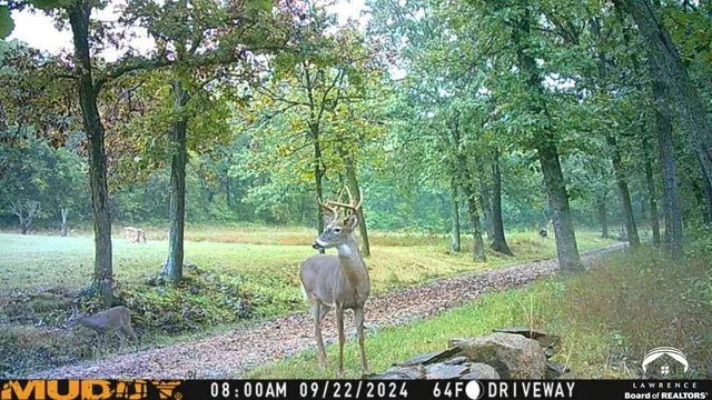 $1,600,000 | 16008 62nd Street, Oskaloosa, KS 66066