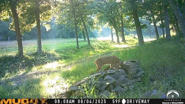 $1,600,000 | 16008 62nd Street, Oskaloosa, KS 66066