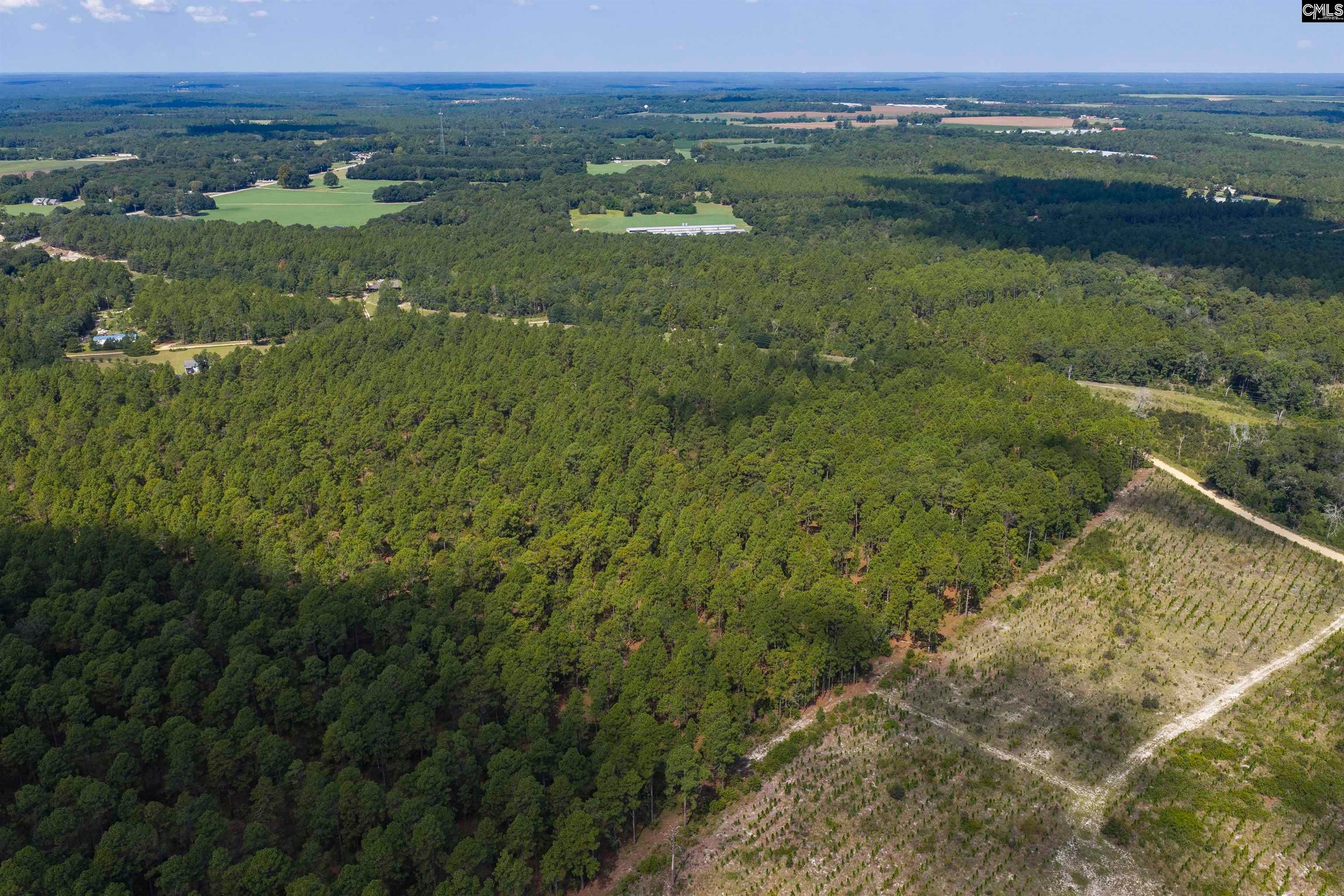 Tbd Gantt Mill Road, Unit PARCEL 3 Leesville, SC 29070 - Photo 14 of 16 Gallery Image 14