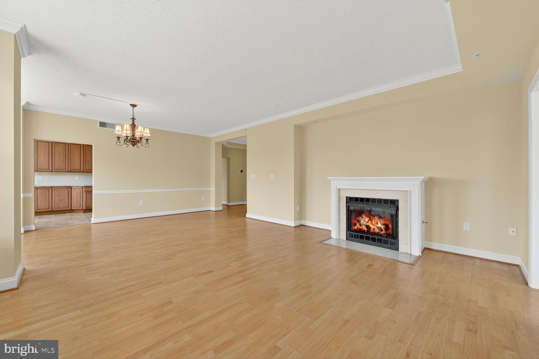 11776 Stratford House Place, Unit 507 Reston, VA 20190 - Photo 11 of 40 an empty room with a fireplace and window