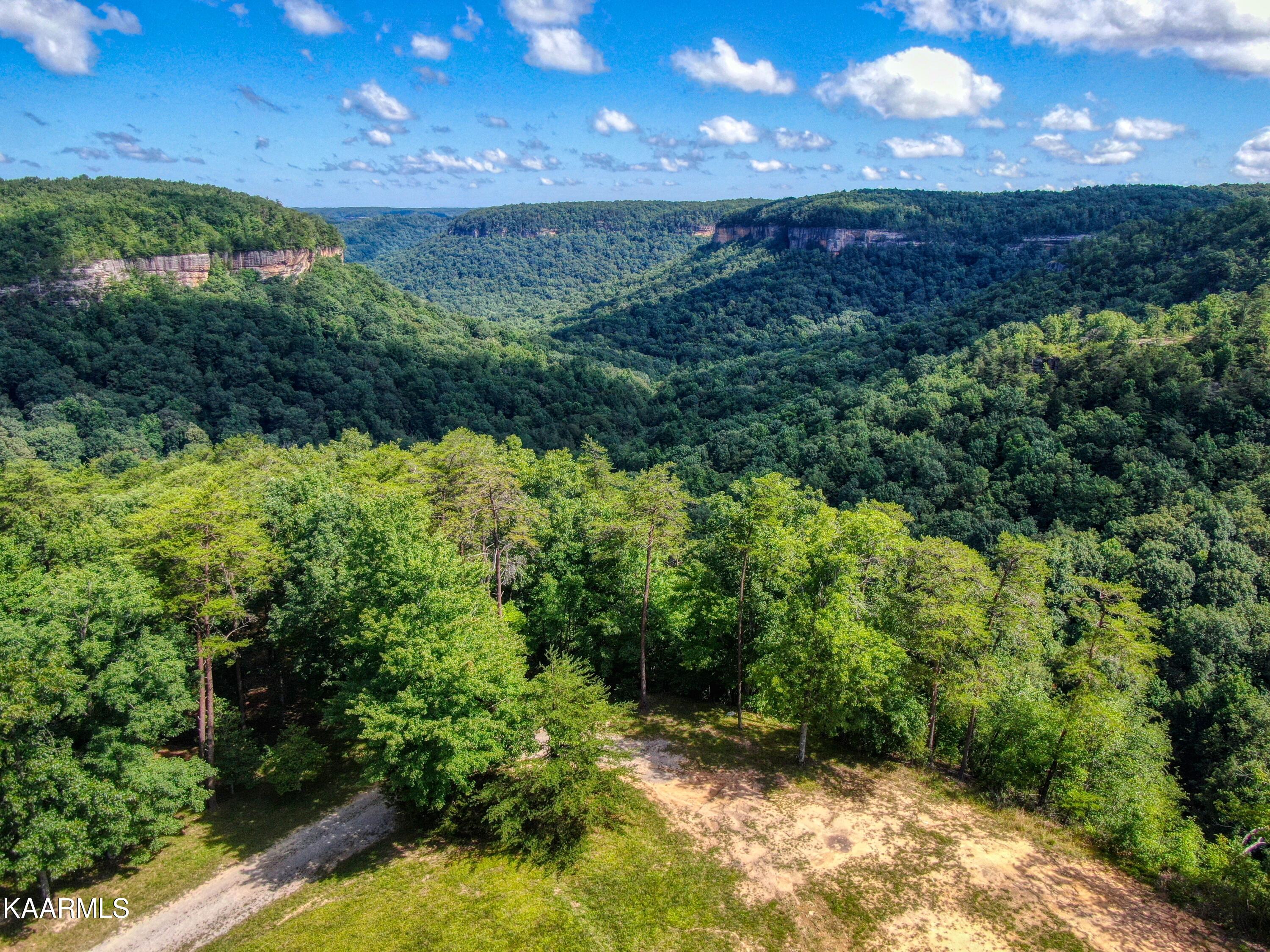 Lot 85 Diamond Pointe Road Jamestown, TN 38556 - Photo 3 of 12 h19