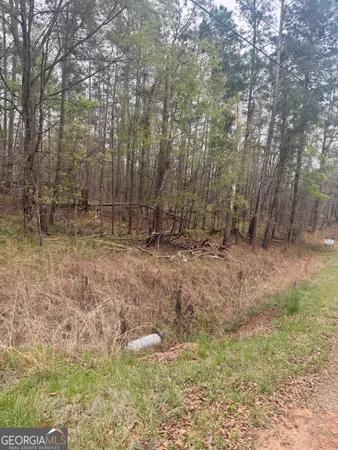 a view of a yard with large trees