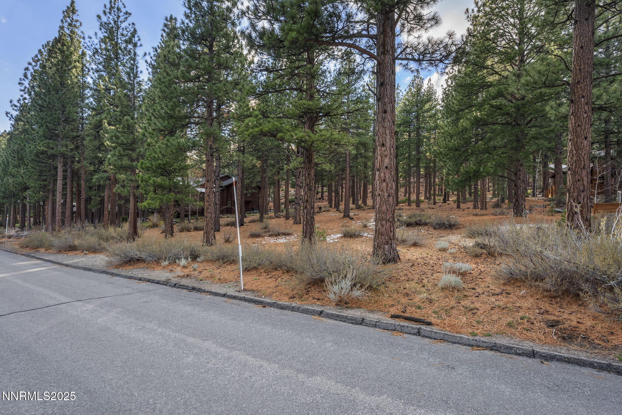 1385 Austrian Pine Road Reno, NV 89511 - Photo 2 of 13 1-web-or-mls-_DSC0375