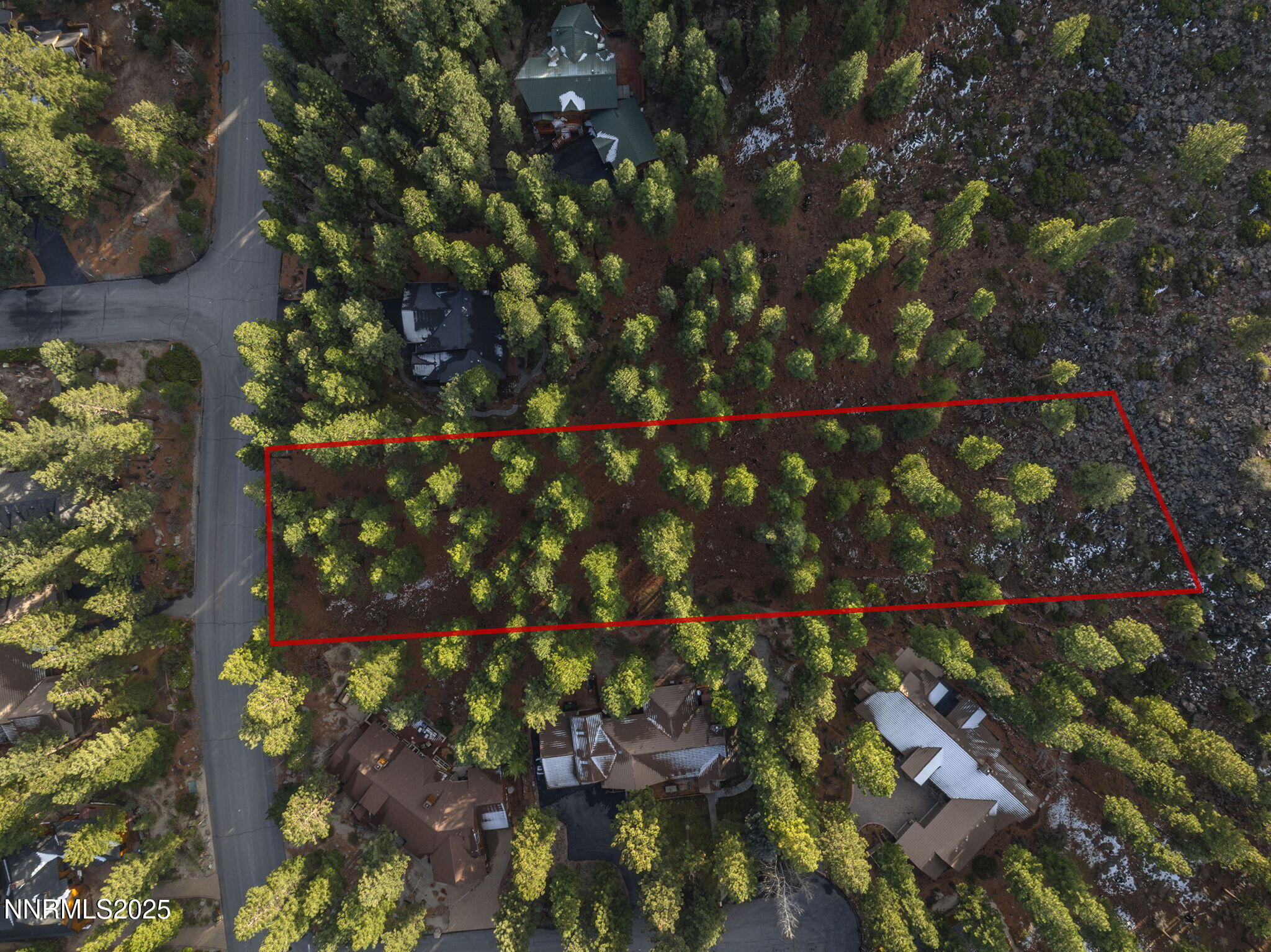 1385 Austrian Pine Road Reno, NV 89511 - Photo 6 of 13 6-web-or-mls-DJI_0425