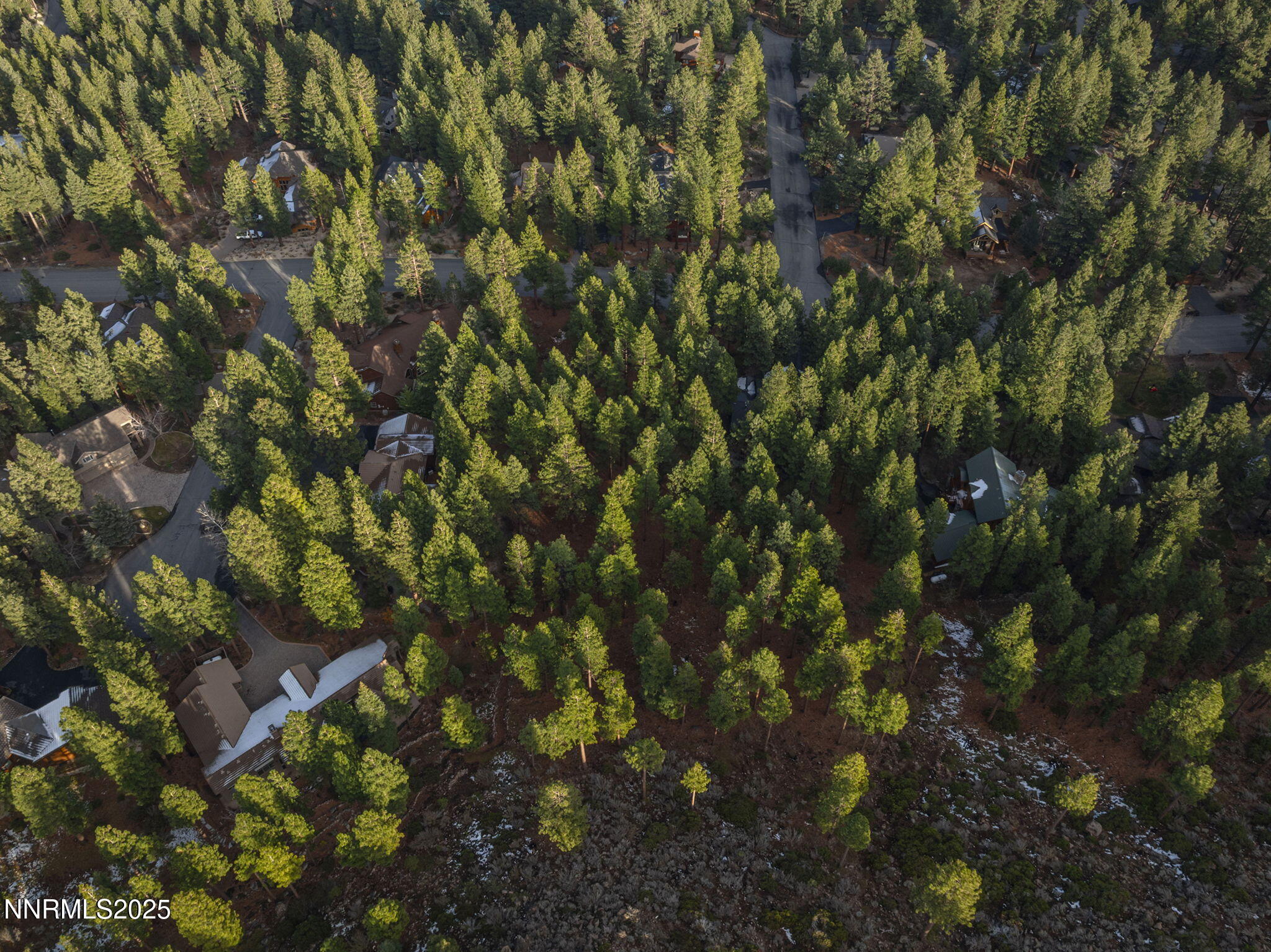 1385 Austrian Pine Road Reno, NV 89511 - Photo 8 of 13 8-web-or-mls-DJI_0426