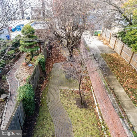 a view of yard along with trees