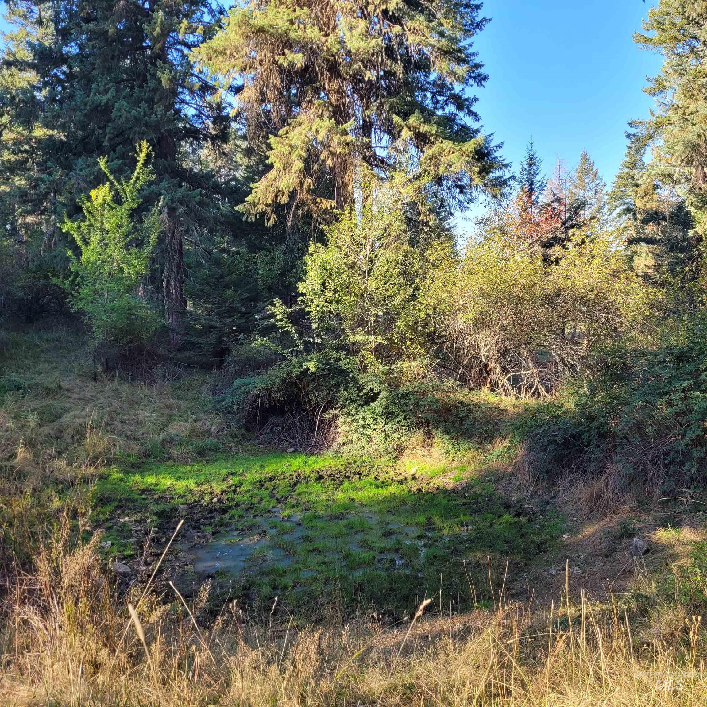 Parcel A Elk City Wagon Road Stites, ID 83552 - Photo 3 of 10