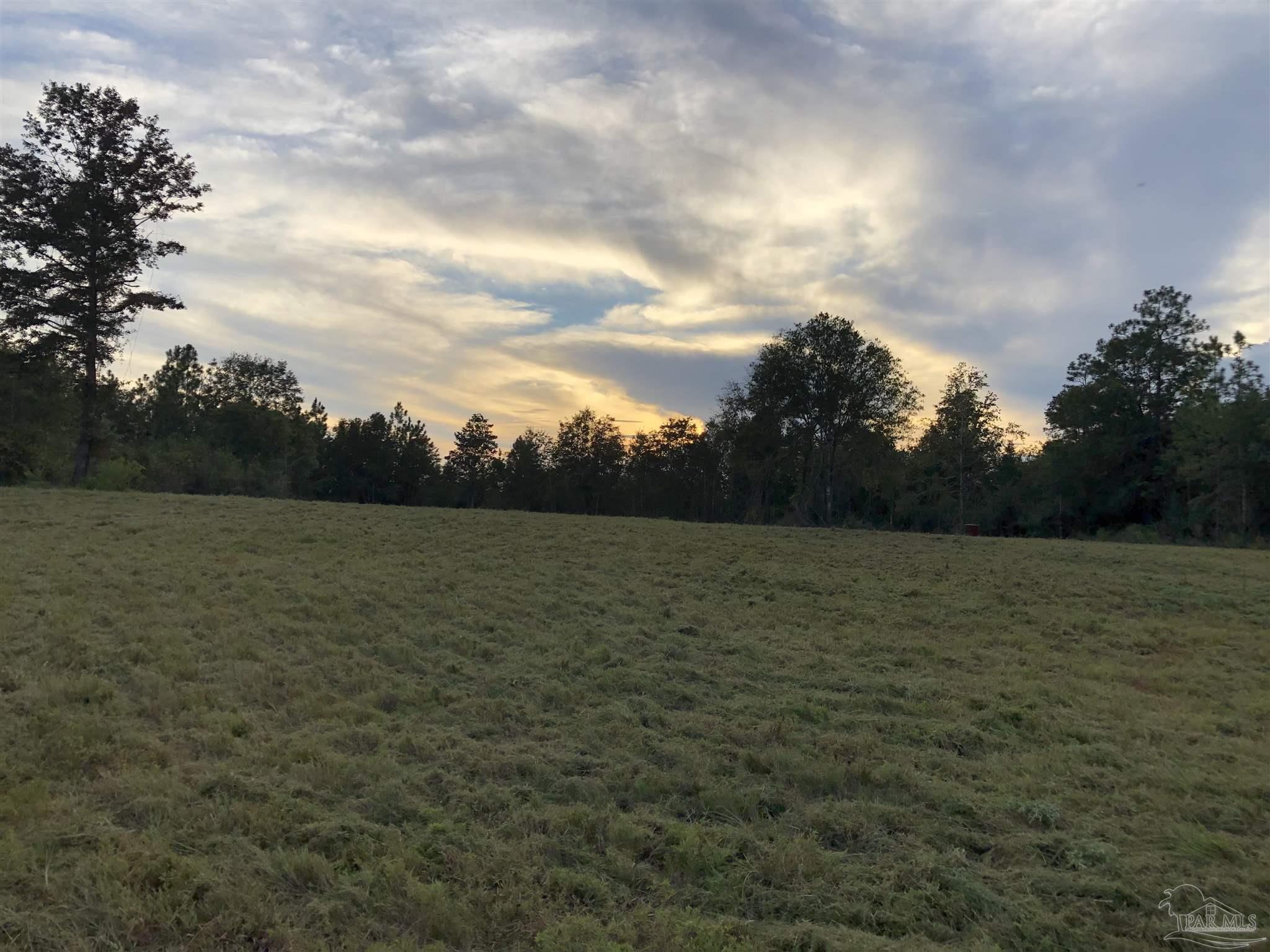 7960 Buffalo Ridge Road Pace, FL 32571 - Photo 1 of 5