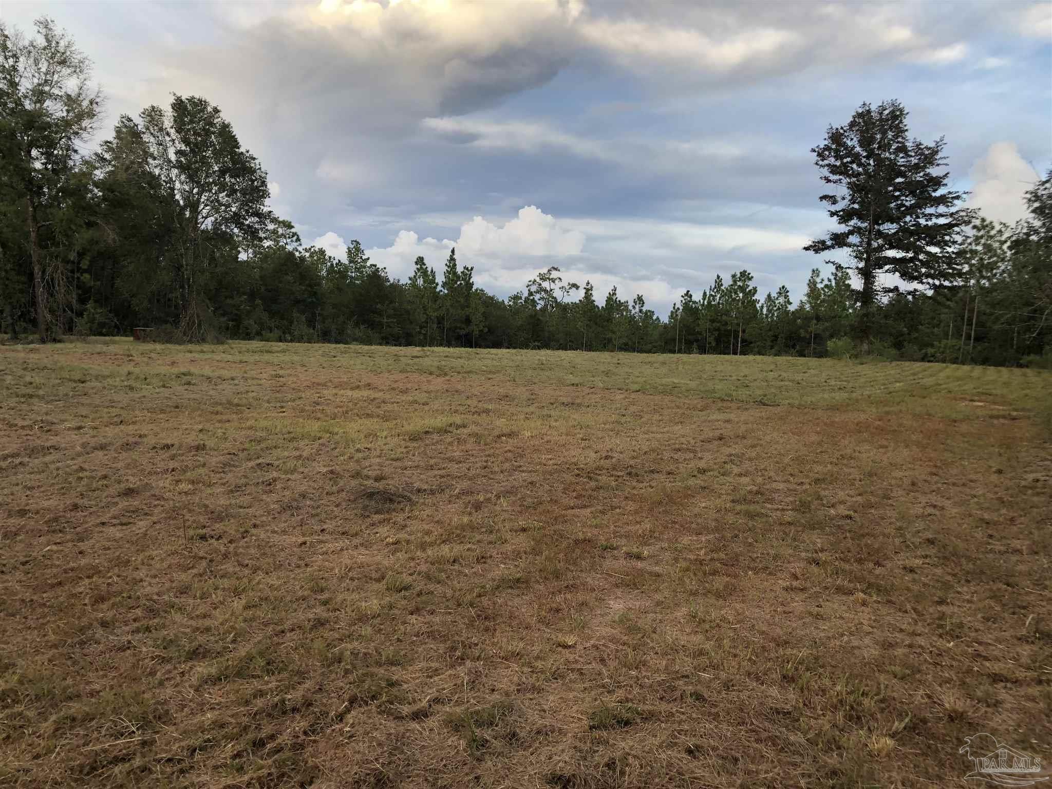 7960 Buffalo Ridge Road Pace, FL 32571 - Photo 2 of 5