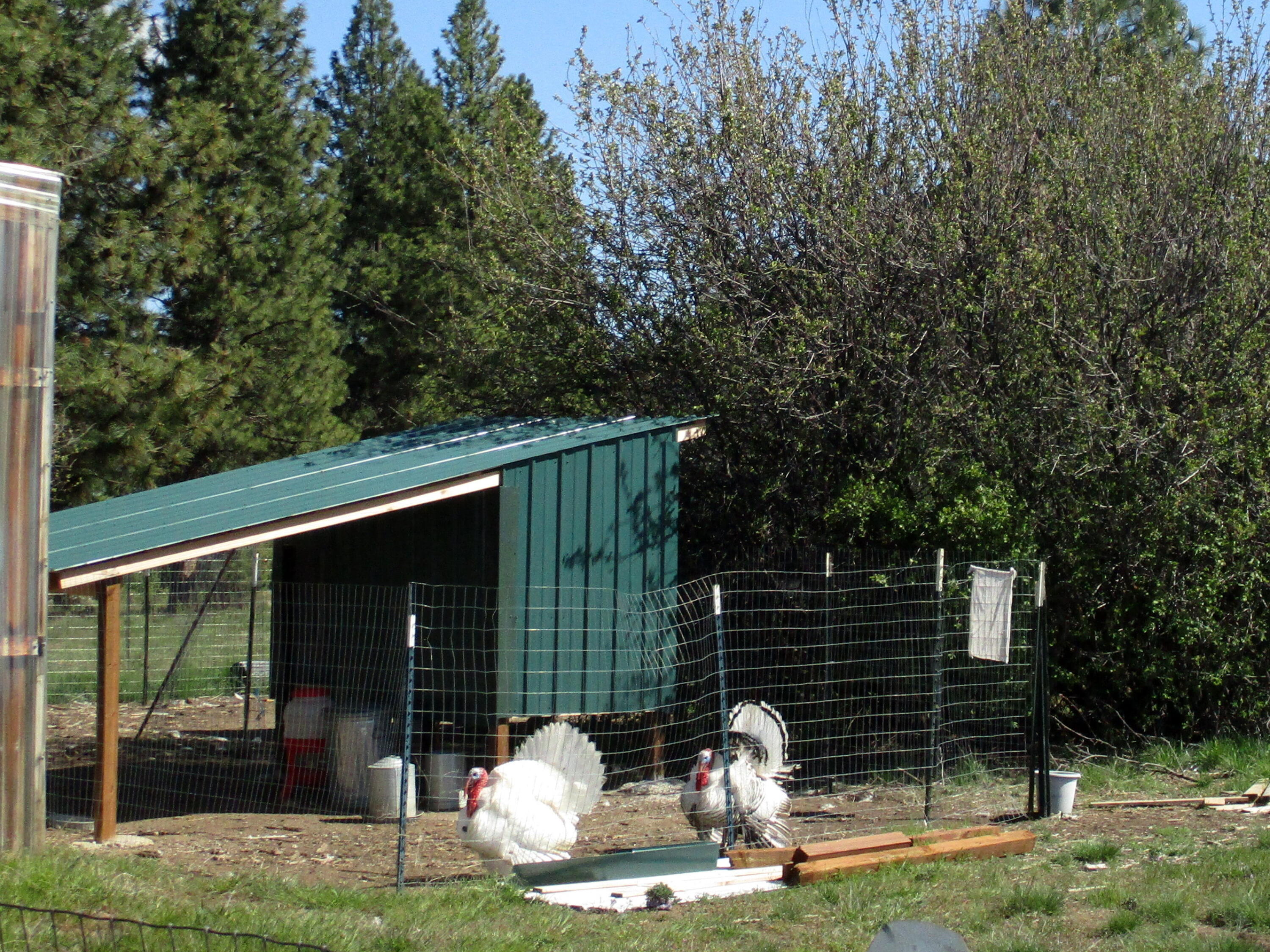 36141 David Street Chiloquin, OR 97624 - Photo 29 of 43 IMG_0944