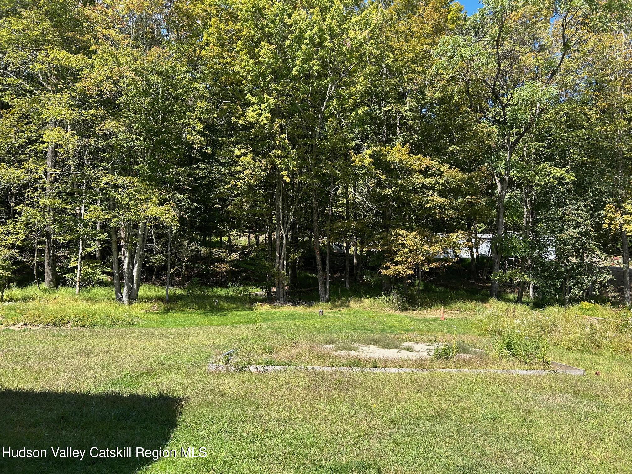 26 Iken Road Kerhonkson, NY 12446 - Photo 3 of 7 a view of a tree in a yard