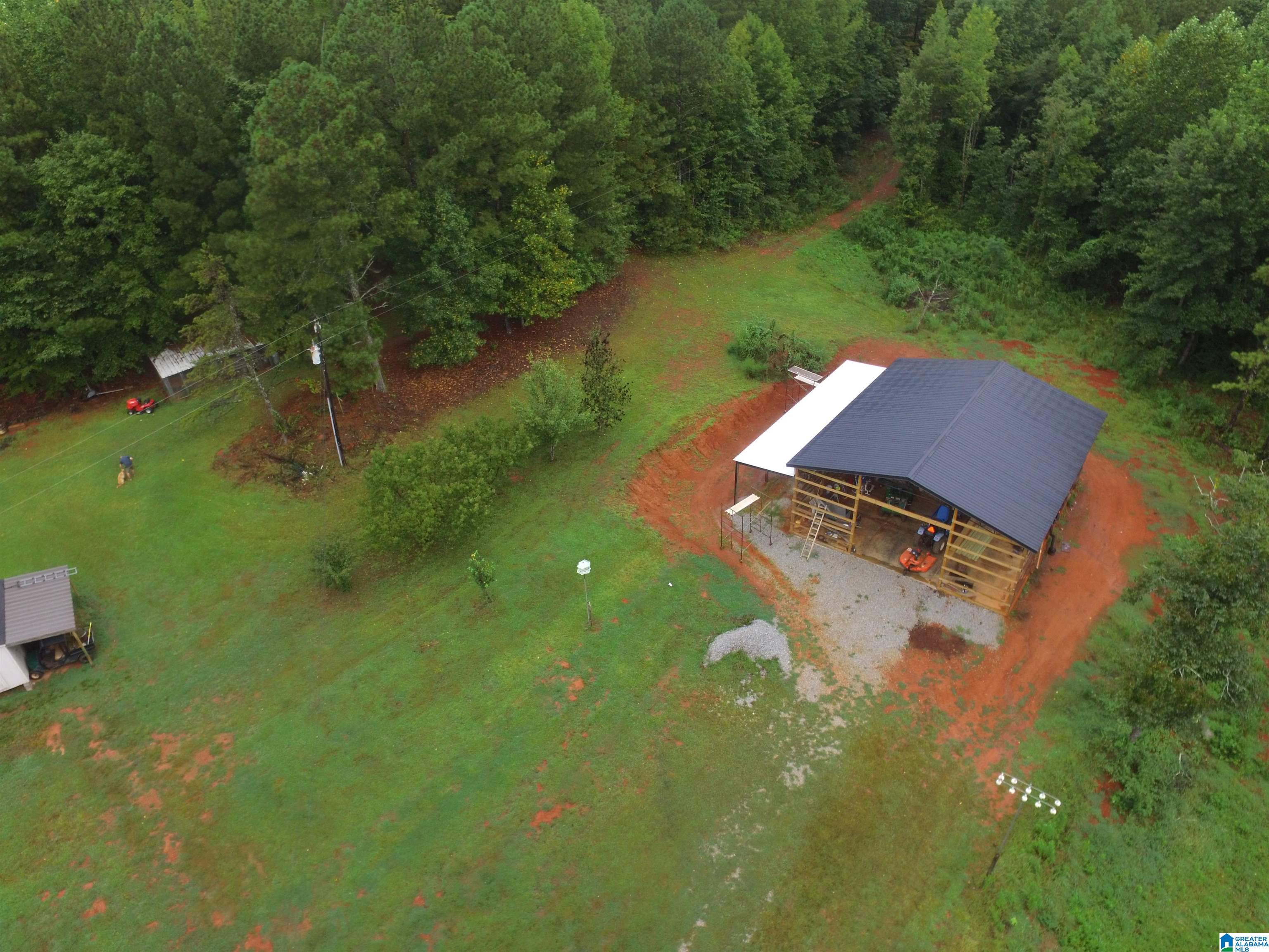 889 Lees Bridge Road Delta, AL 36258 - Photo 8 of 25