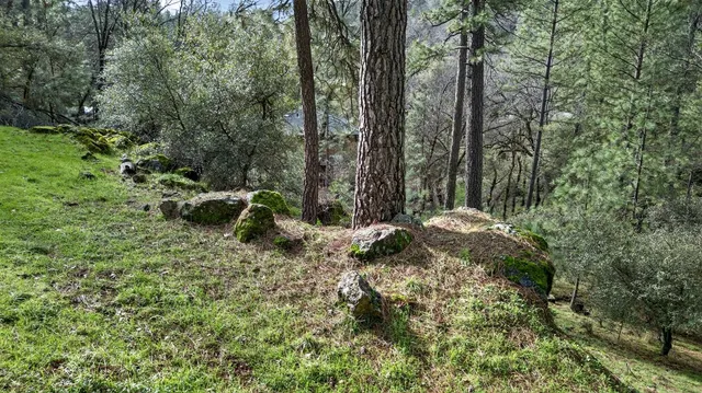 a backyard of a house with lots of green space