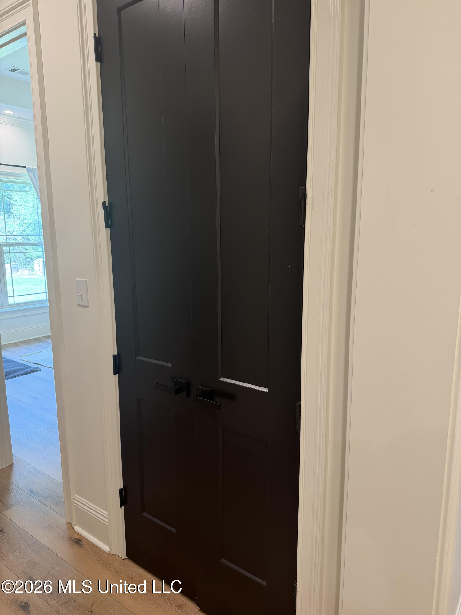 17341 Doc Lizana Road Gulfport, MS 39503 - Photo 39 of 41 1 of 2 hall storage closets
