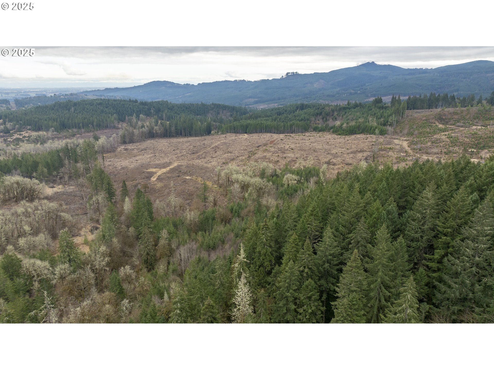 0 Northwest Panther Creek Road Yamhill, OR 97148 - Photo 3 of 28 Acreage