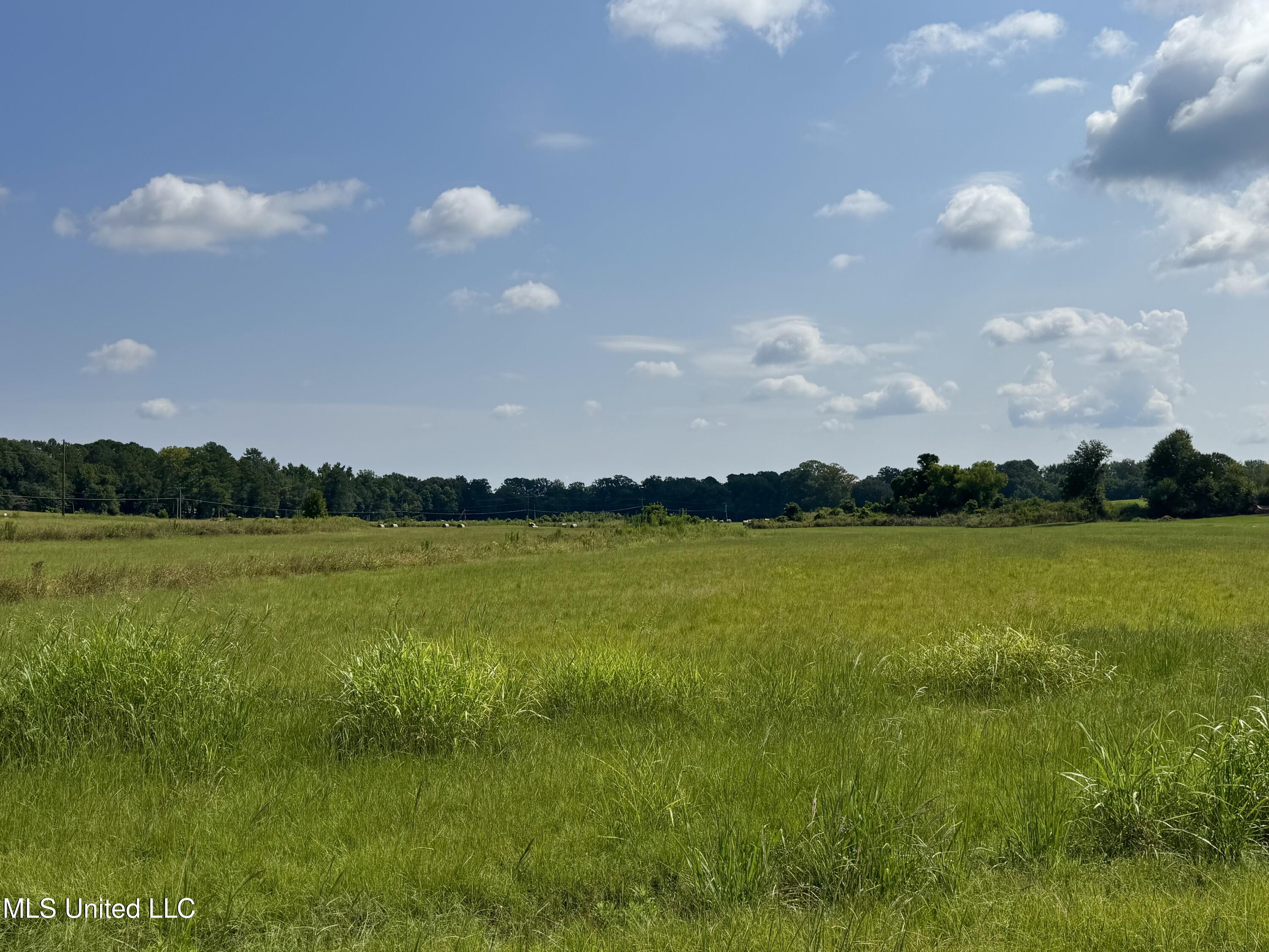 R16 Old Highway 16 Benton, MS 39039 - Photo 7 of 12 IMG_8878