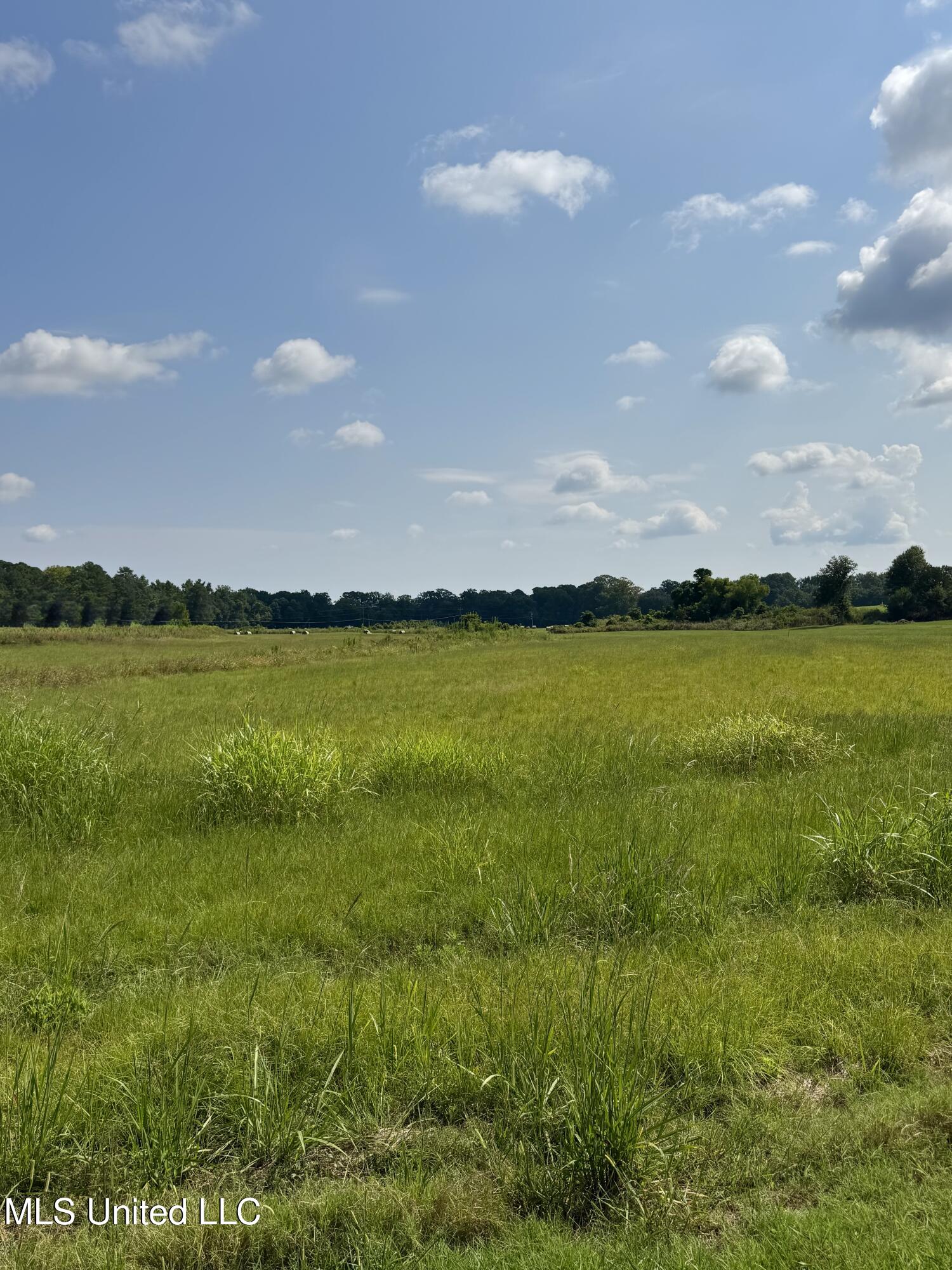 R16 Old Highway 16 Benton, MS 39039 - Photo 8 of 12 IMG_8877