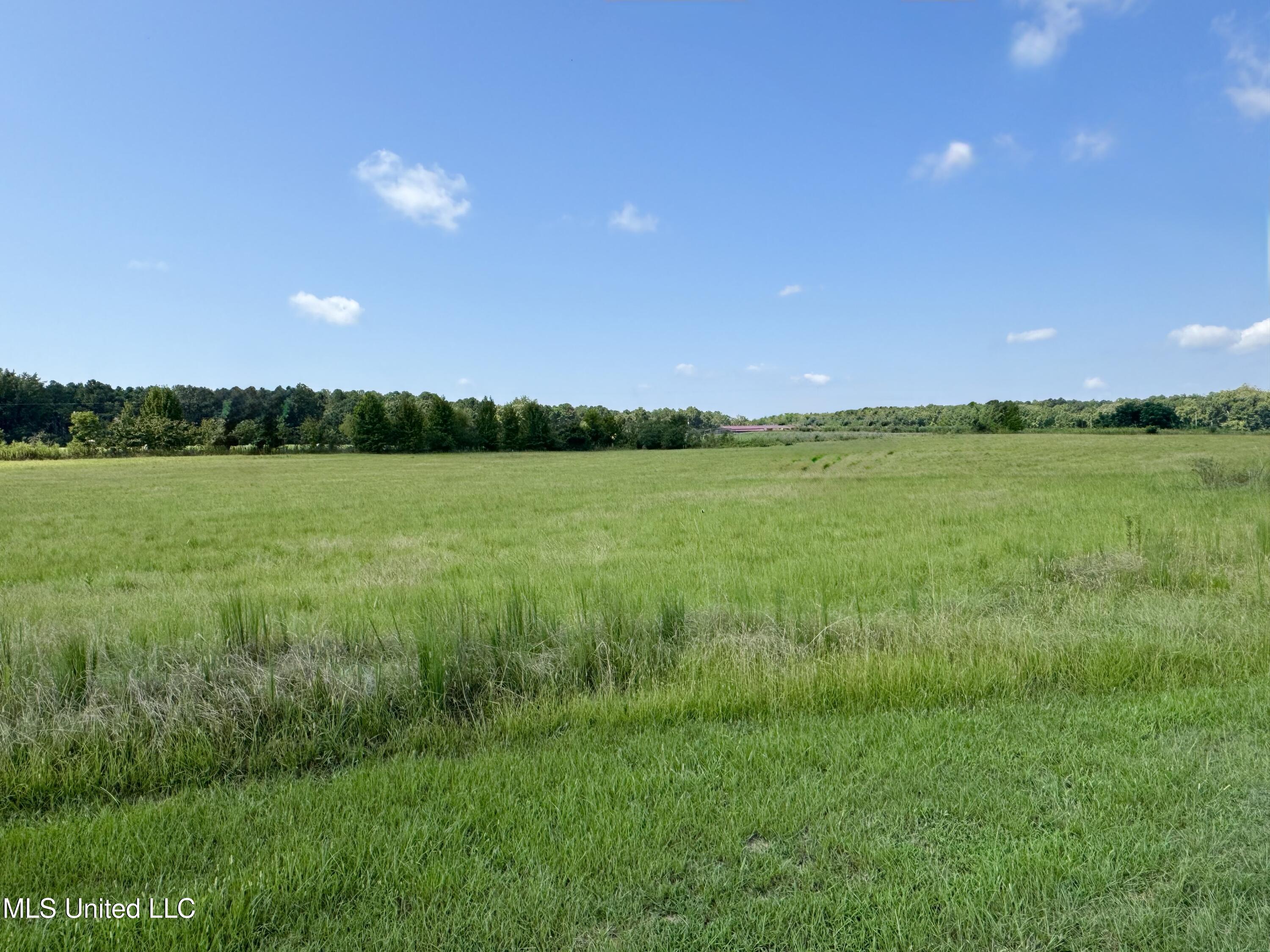 R16 Old Highway 16 Benton, MS 39039 - Photo 10 of 12 IMG_8881
