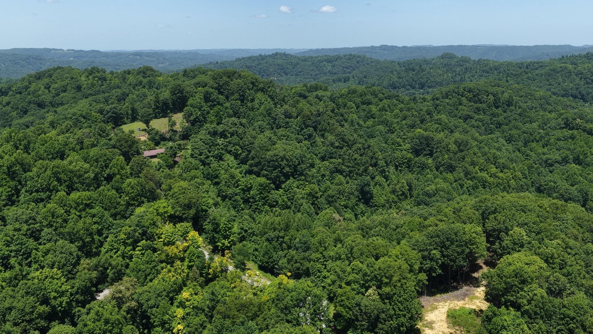 Tbd Osborne Mountain Road Raven, VA 24639 - Photo 4 of 27 Gallery Image 4
