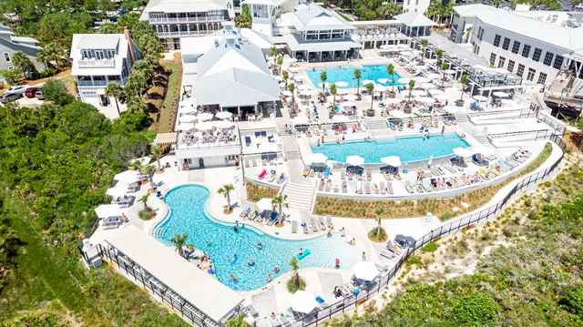 a picture of flowers and flowers