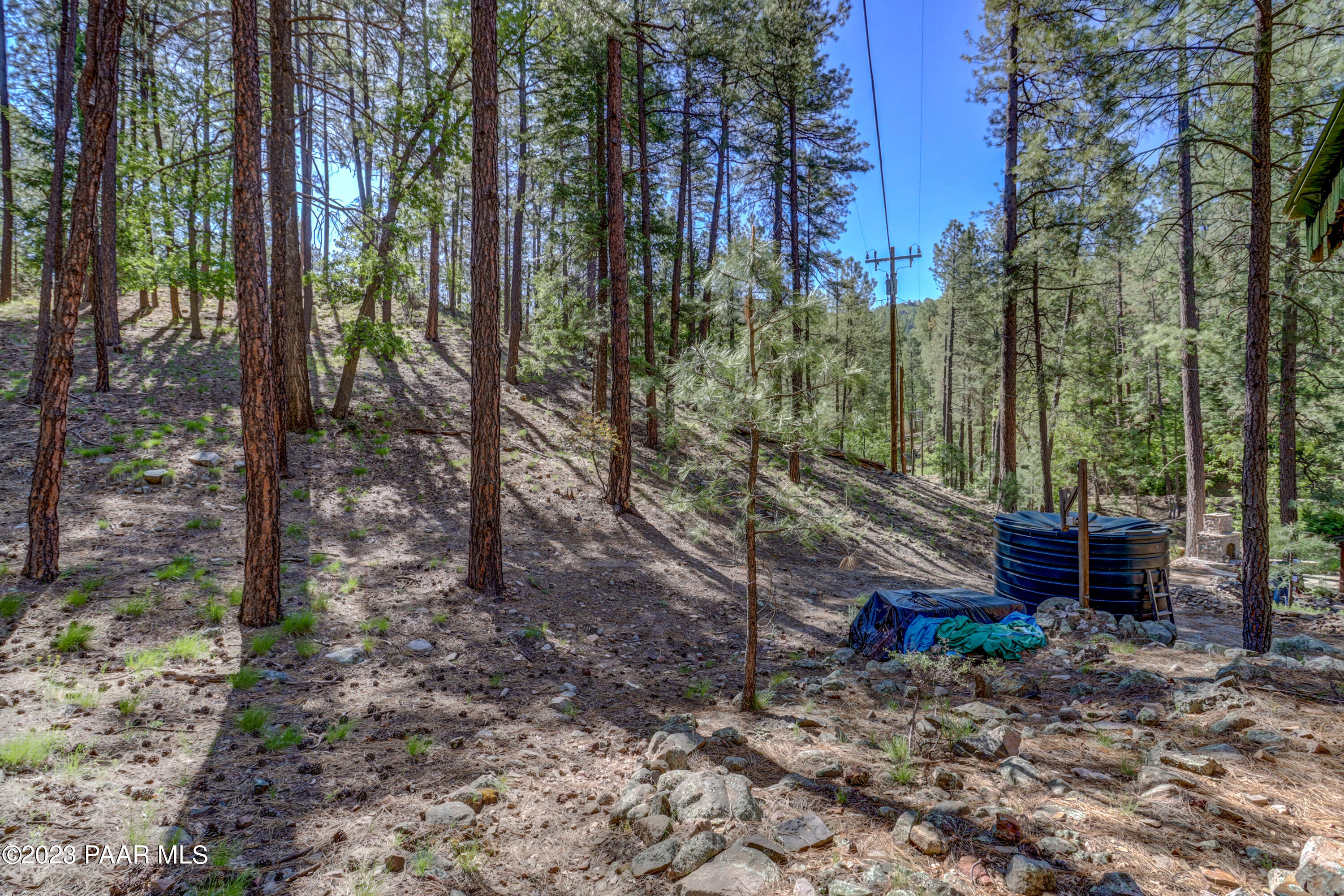 4344 East Sheldon Road Prescott, AZ 86303 - Photo 35 of 39 036_Mature Trees