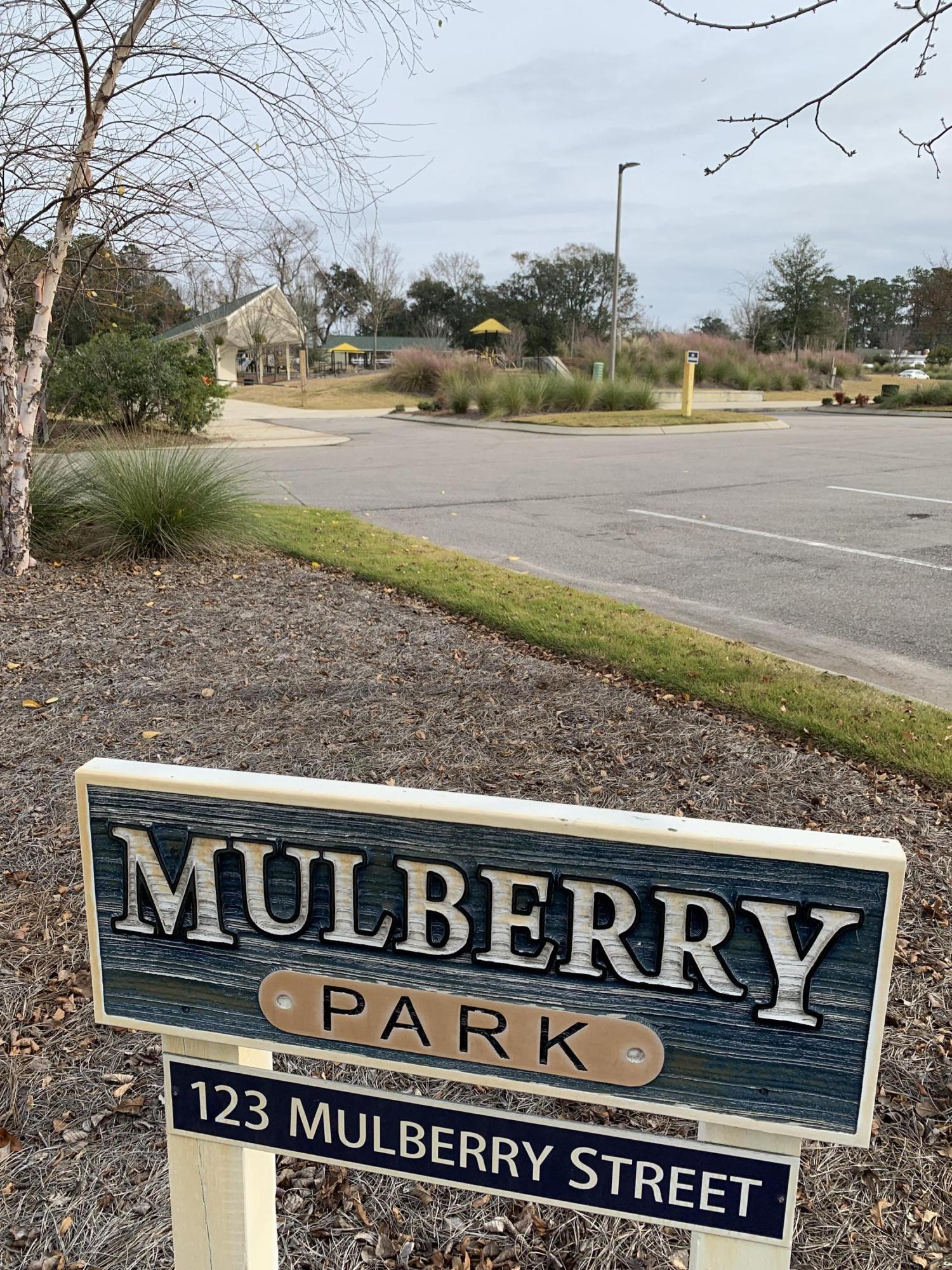 4910 Bridger Road, Unit #14 Shallotte, NC 28470 - Photo 35 of 37 Mulberry Public Town Park