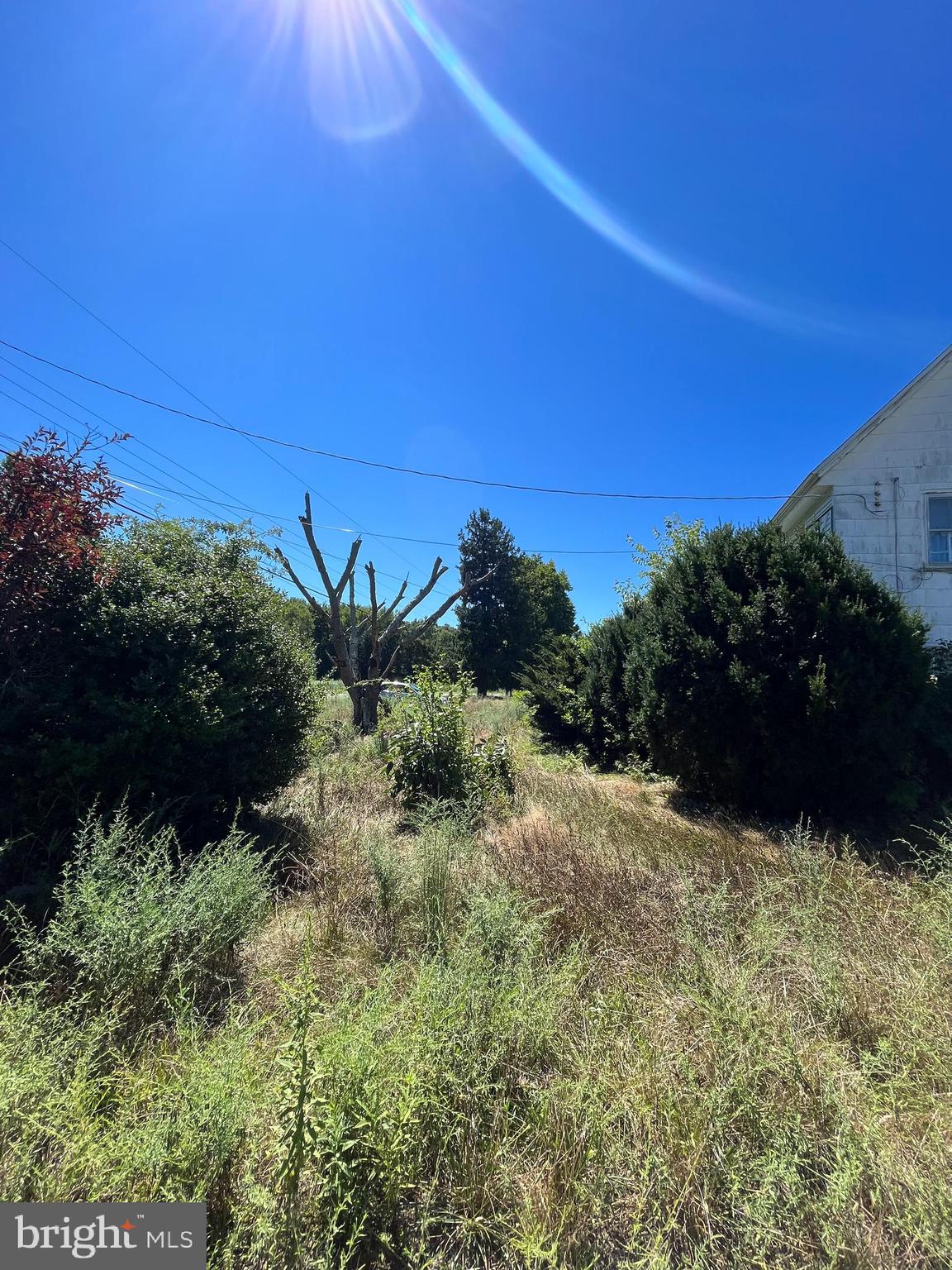 484 Gum Tree Corner Road Bridgeton, NJ 08302 - Photo 20 of 29 a view of a garden