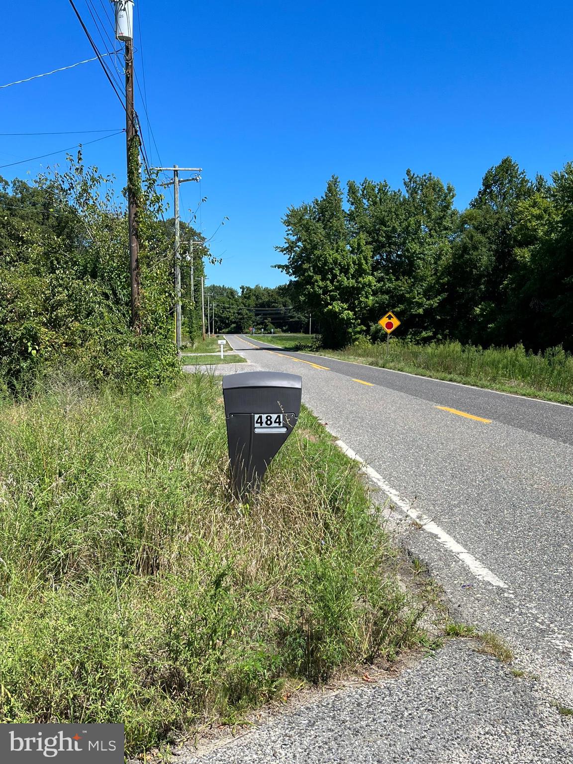484 Gum Tree Corner Road Bridgeton, NJ 08302 - Photo 2 of 29 a backyard of a house with lots of green space