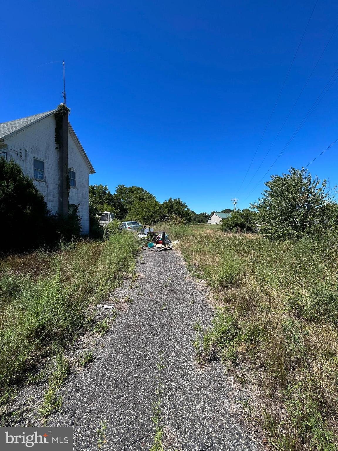 484 Gum Tree Corner Road Bridgeton, NJ 08302 - Photo 21 of 29 a view of a yard with an trees