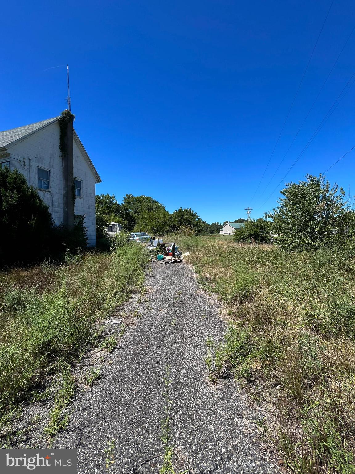 484 Gum Tree Corner Road Bridgeton, NJ 08302 - Photo 22 of 29 a view of a yard with an trees