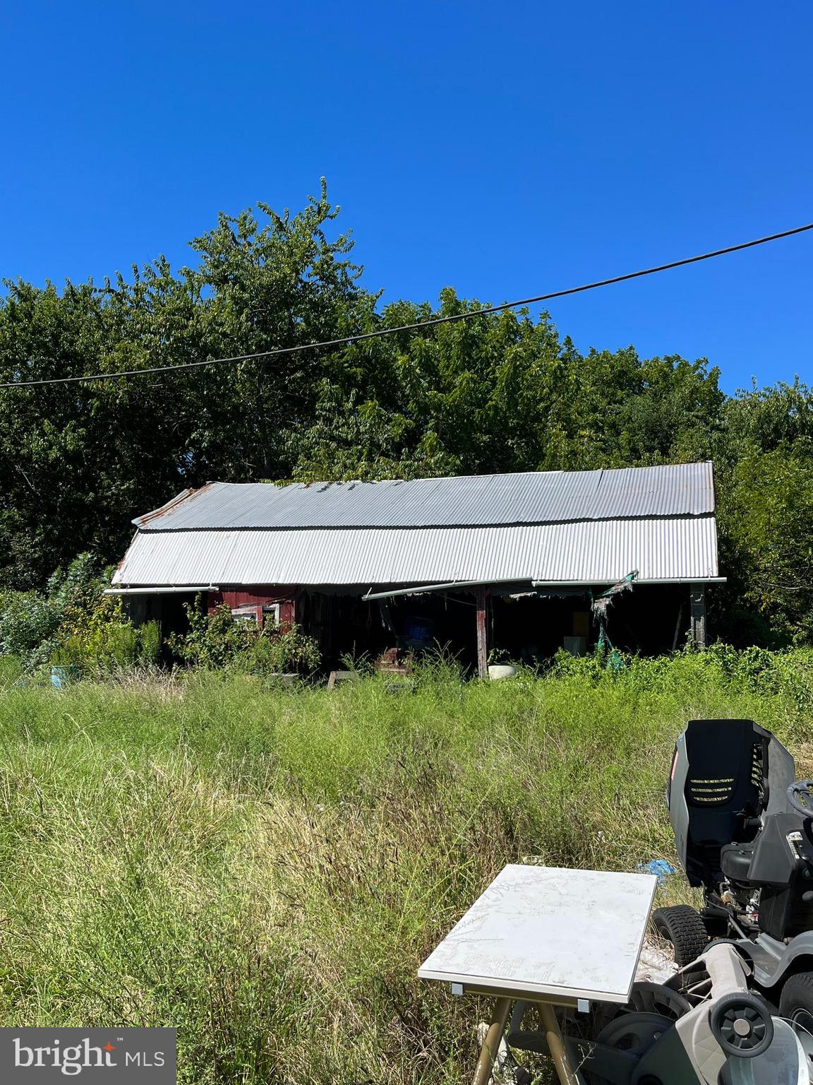 484 Gum Tree Corner Road Bridgeton, NJ 08302 - Photo 26 of 29 a view of a back yard