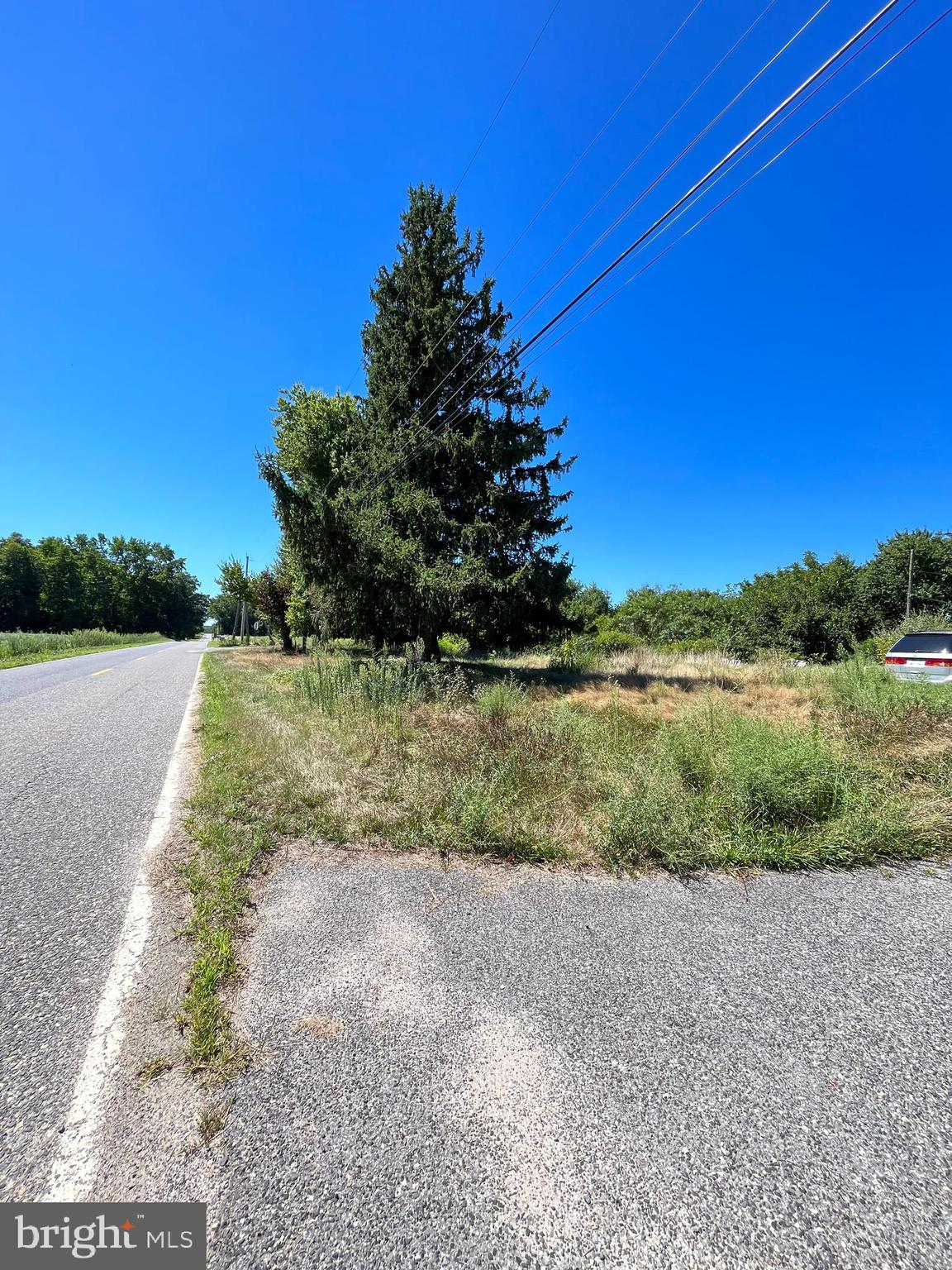 484 Gum Tree Corner Road Bridgeton, NJ 08302 - Photo 29 of 29 a view of a yard with an trees