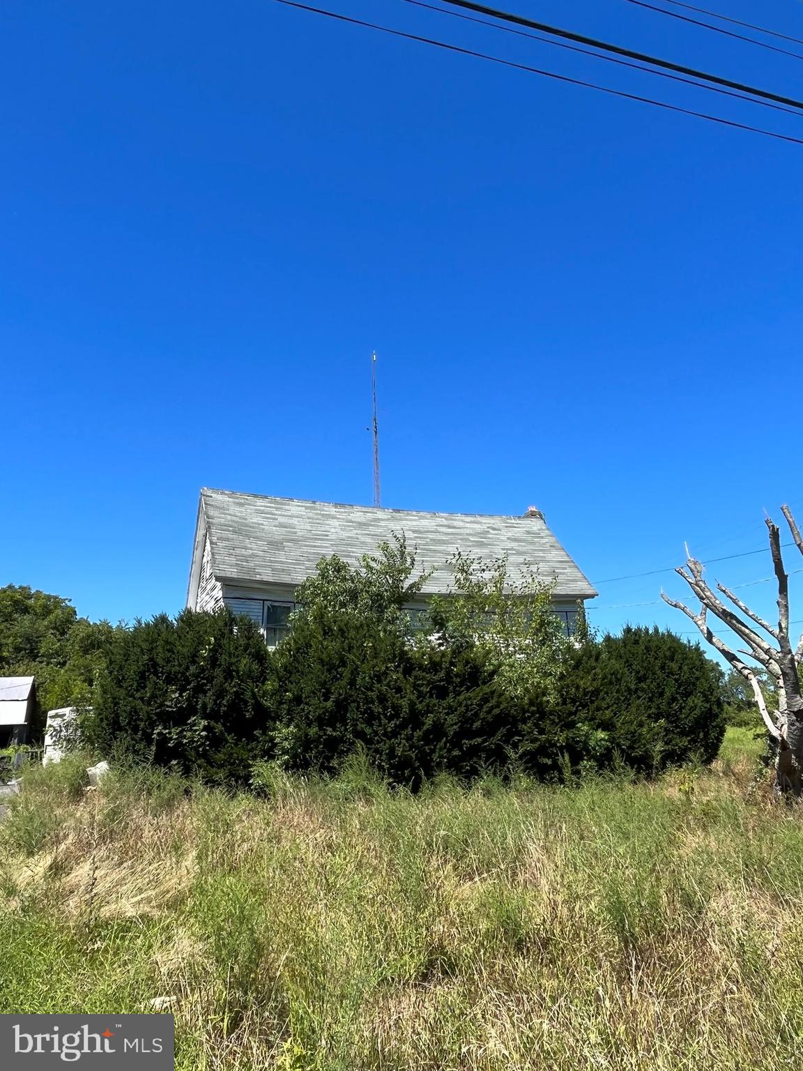 484 Gum Tree Corner Road Bridgeton, NJ 08302 - Photo 3 of 29 a view of a bunch of trees and bushes