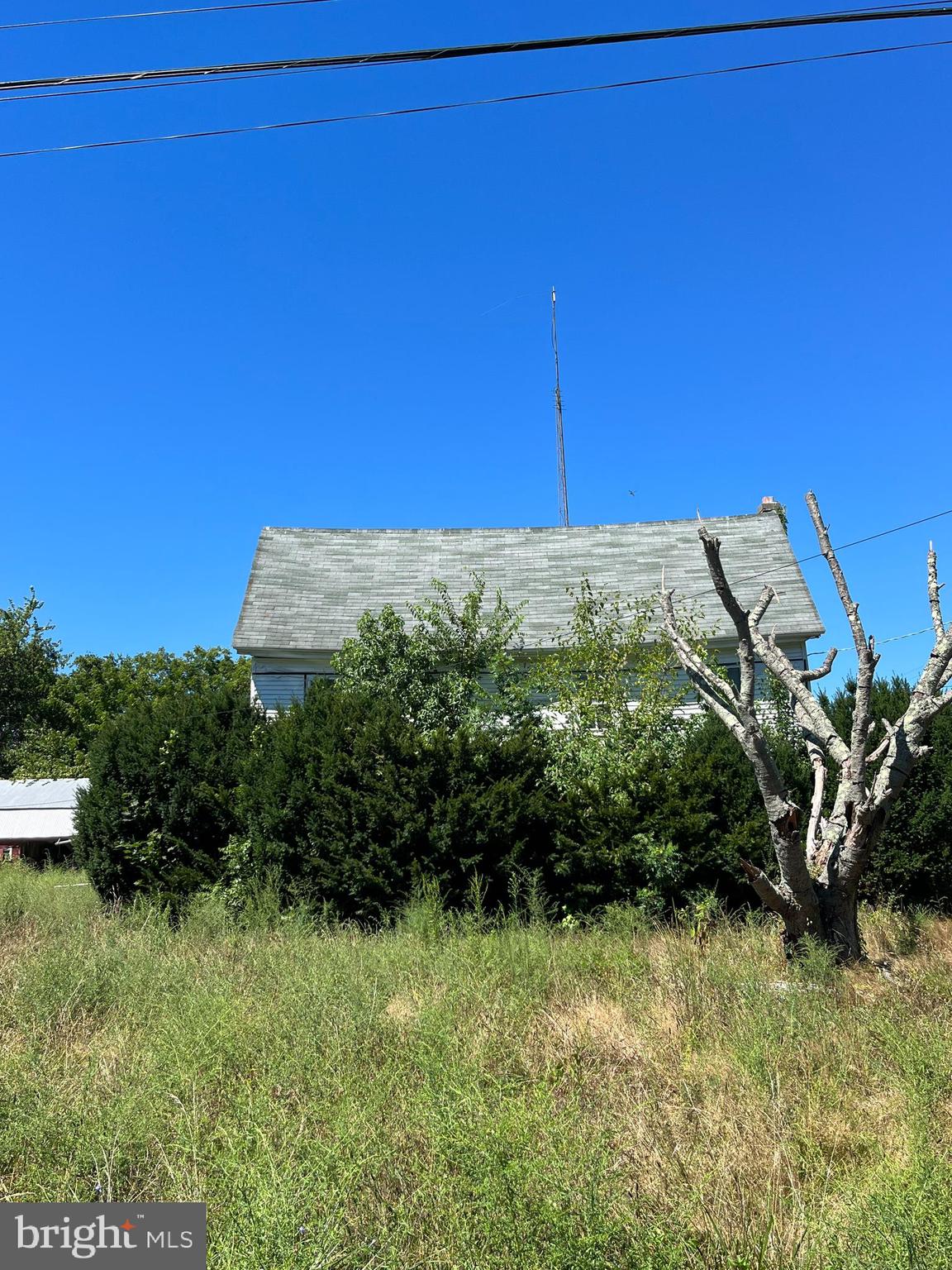 484 Gum Tree Corner Road Bridgeton, NJ 08302 - Photo 6 of 29 a view of a garden