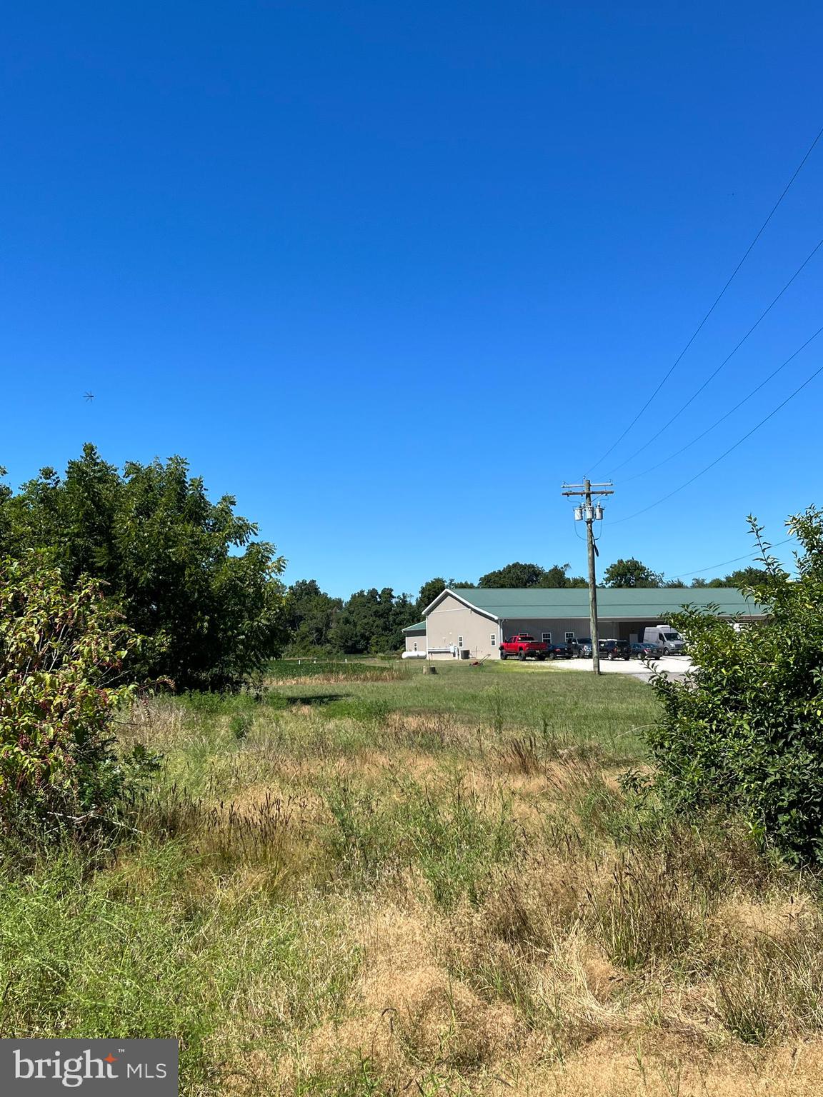 484 Gum Tree Corner Road Bridgeton, NJ 08302 - Photo 8 of 29 a view of a garden