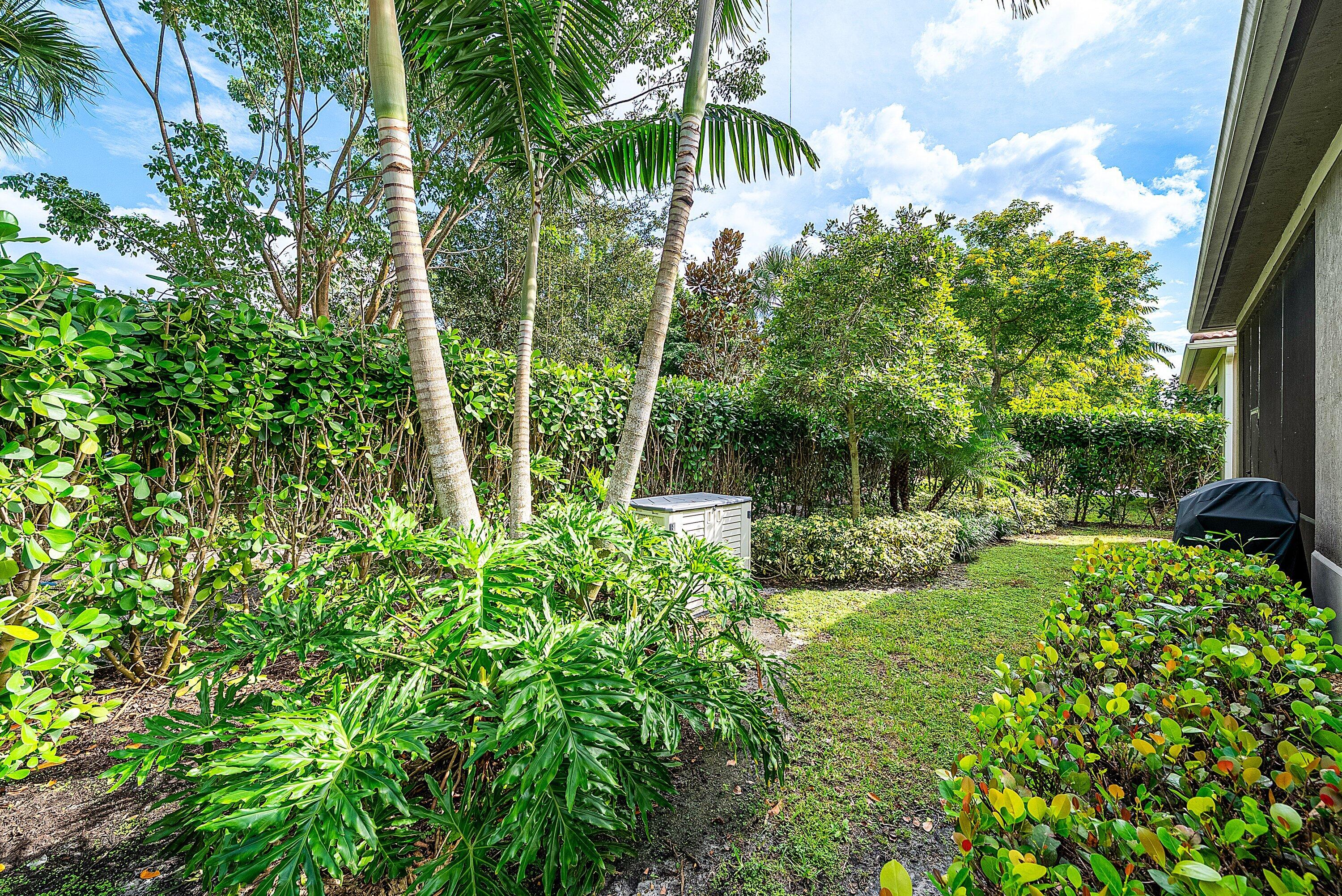 9076 Leon Circle Parkland, FL 33076 - Photo 39 of 42 a view of a garden with a tree