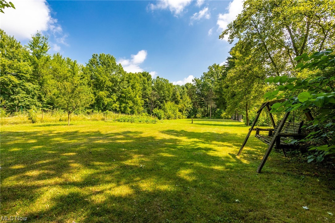 1920 Grafton Road Elyria, OH 44035 - Photo 28 of 35 Plenty of grassy space to play, garden or relax