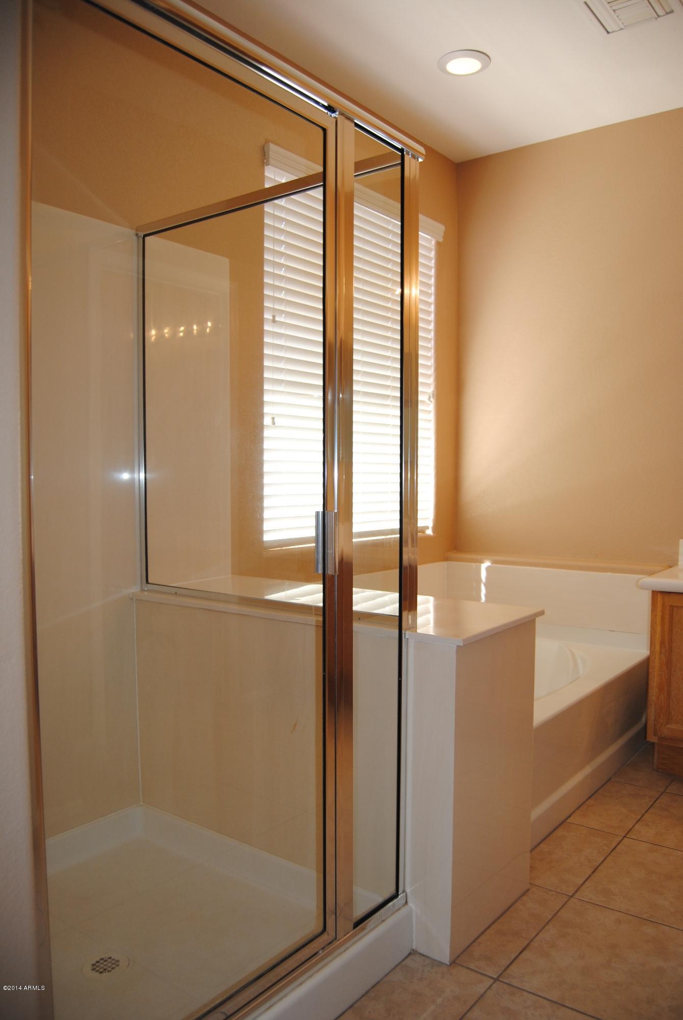 15941 West Calavar Road Surprise, AZ 85379 - Photo 9 of 22 Master Separate Shower and Garden Tub