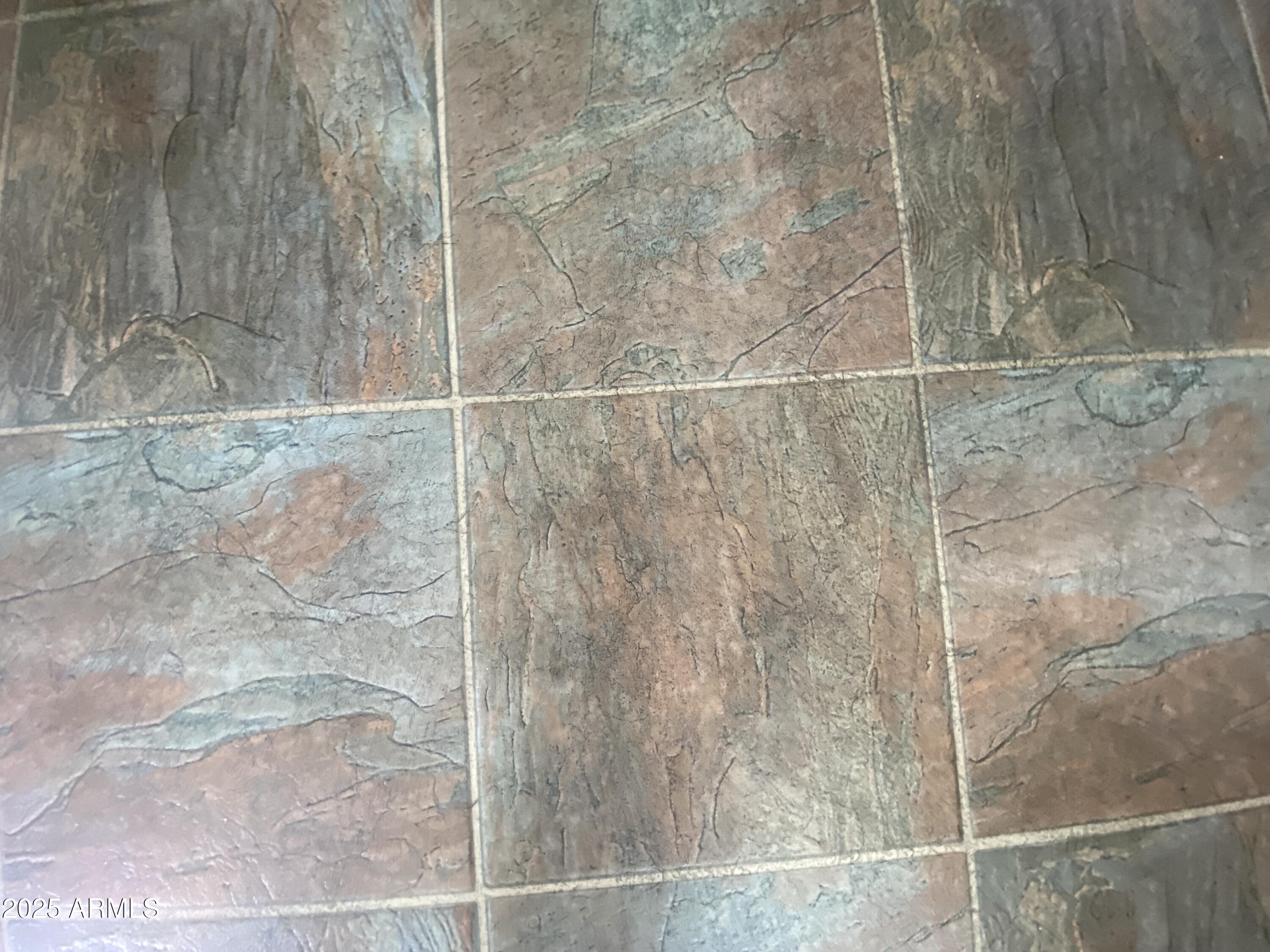 1418 South Havasupai Drive Apache Junction, AZ 85119 - Photo 10 of 30 IMG_5187