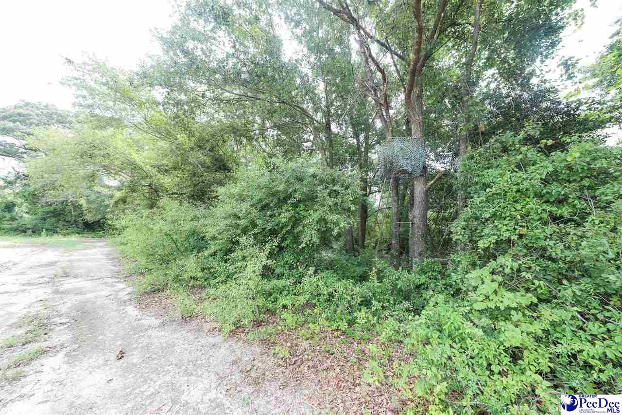 26-acres Una Road Lamar, SC 29069 - Photo 13 of 14 Gallery Image 13
