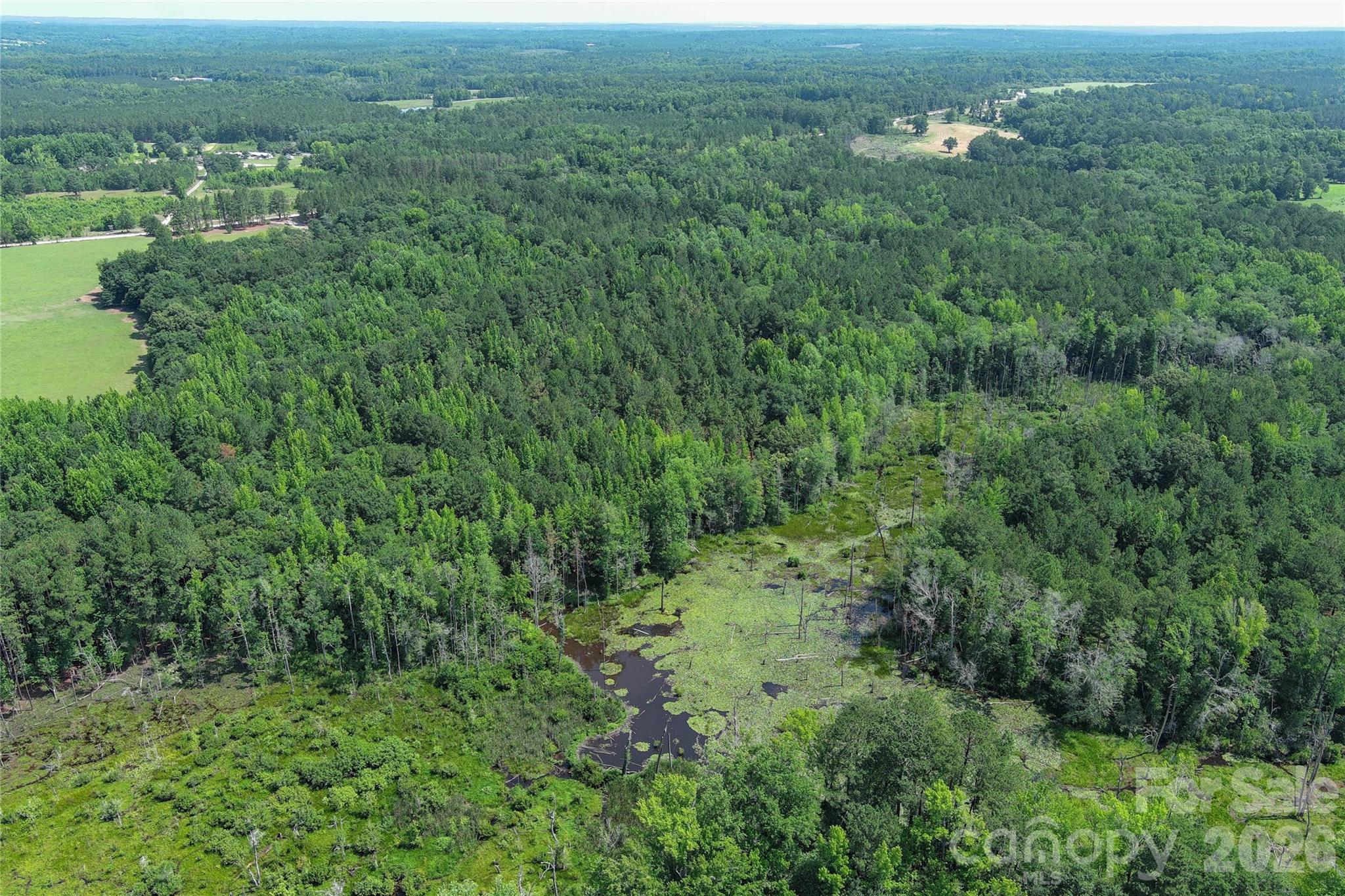 809 Campbell Road Jefferson, SC 29718 - Photo 25 of 26