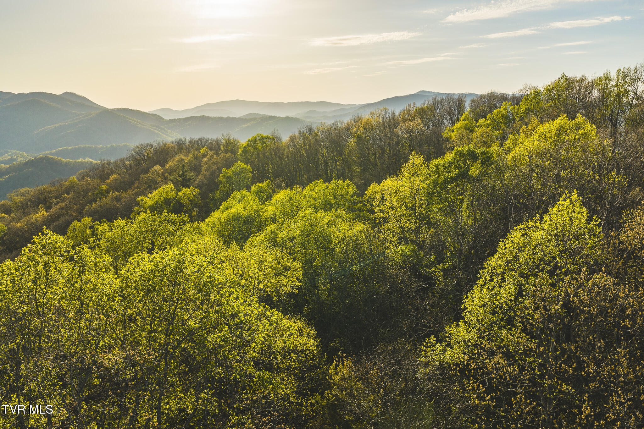 Tbd Cole Road Flag Pond, TN 37657 - Photo 17 of 17 DJI_20260422190240_0665_D