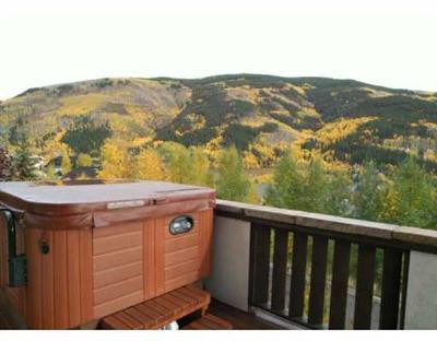 1873 Lions Ridge Loop Vail, CO 81657 - Photo 7 of 8 Additional Photo